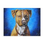 Angel American Staffordshire Terrier Dog Art Post Cards