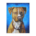 Angel American Staffordshire Terrier Dog Art Postcards