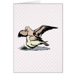 Angel & Angela Albatross Cards