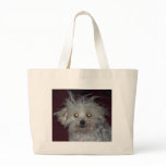 ANGEL BABY BAG