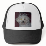 ANGEL BABY TRUCKER HATS