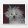 ANGEL BABY MOUSE PAD