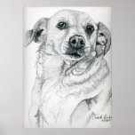 Angel Chihuahua 1 Print