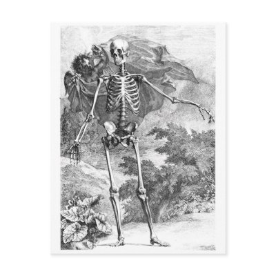 Angel covering a standing skeleton by SusansZooCrew