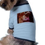 Angel Dog Tee pet clothing