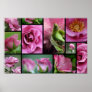 Angel Face Rose Collage Poster