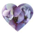 Angel Face Rose
