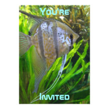 Angel Fish Invitation