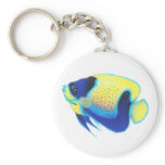 ANGEL FISH