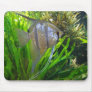 Angel Fish Mousepad