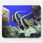 Angel Fish Mousepads