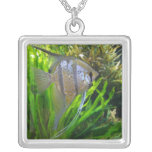 Angel Fish Necklace