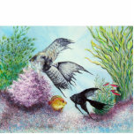 Angel Fish