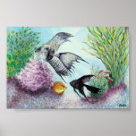 Angel Fish