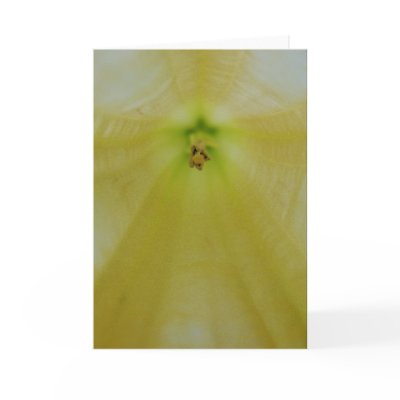 Angel Flower Cards by ZeroToTwenty