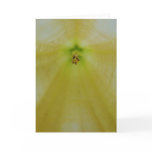 Angel Flower cards