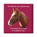 Angel Horses - magnet