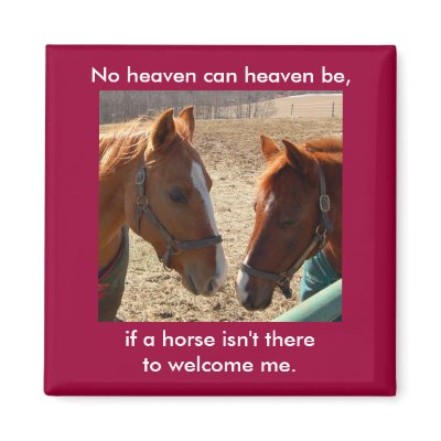 Angel Horses - magnet by Horseshoes3