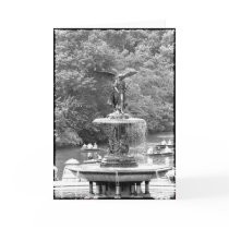 Angel in Central Park