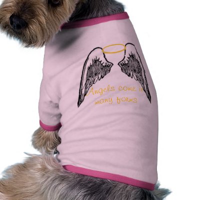 angel in dog form dog clothing by koolkidtrac94