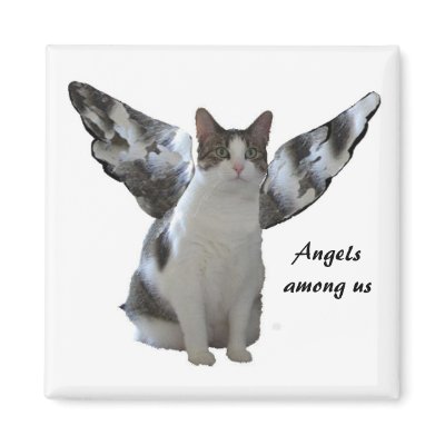 Angel Kitty Magnet by PattiJAdkins