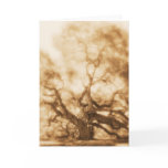 "Angel Oak 1" - MW1106 Card