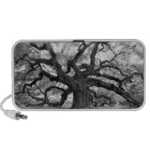 Angel Oak Speaker