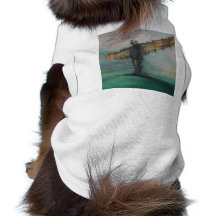Angel Of The North Pet Clothing