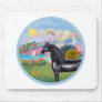 Angel Star- Black Arabian Horse