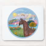 Angel Star- Brown Arabian Horse