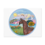 Angel Star- Brown Arabian Horse