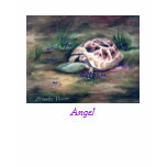 Angel t-shirts