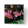 Angel Wing Begonias Pinback Button
