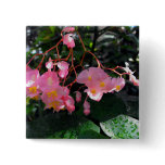 Angel Wing Begonias buttons