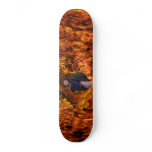 Angela2 skateboards