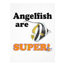 angelfish are super personalized announcement
