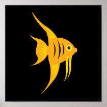 Angelfish_Bold and Beautiful on Black