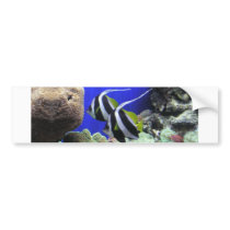 Angelfish Bumper Stickers