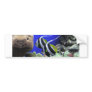 Angelfish Bumper Stickers