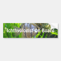 Angelfish Bumper Sticker