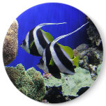 Angelfish Buttons