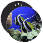 Angelfish Buttons