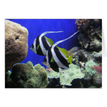 Angelfish Greeting Card