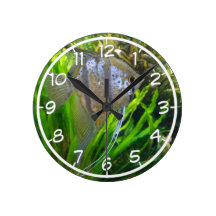 Angelfish Clocks
