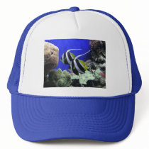 Angelfish Mesh Hats