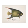 Angelfish Postcard - Style II