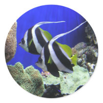 Angelfish Stickers