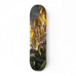 Angelrage Comp Skateboard