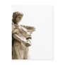 Angels Are Everywhere Post Cards