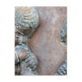 Angels blowing trumpets copper aged relief post card
